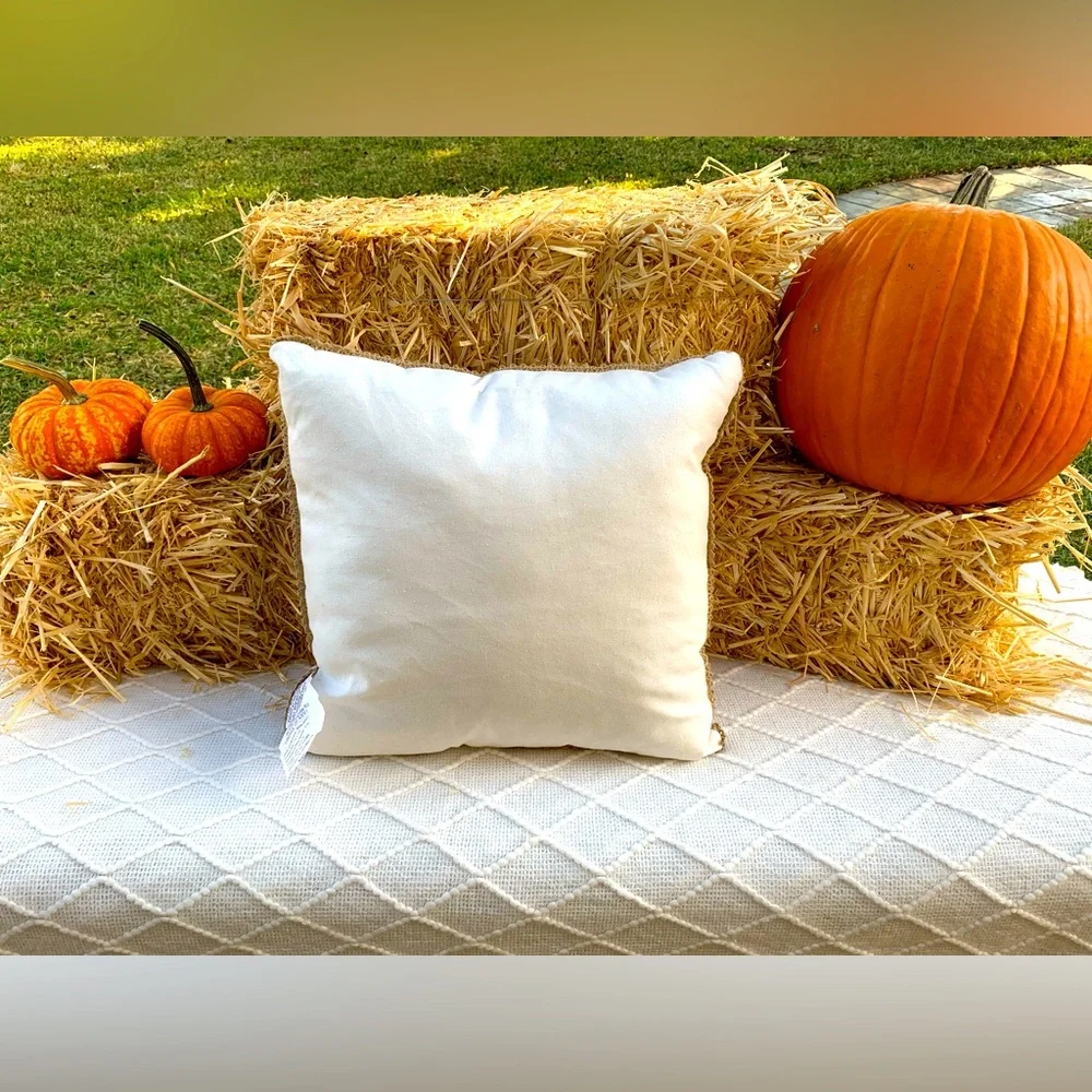 Fall Decor Pillow Pumpkins Harvest Thanksgiving Fall- NWT